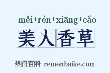 美人香草是什么意思的图片
